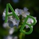 A - B