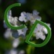 C - D